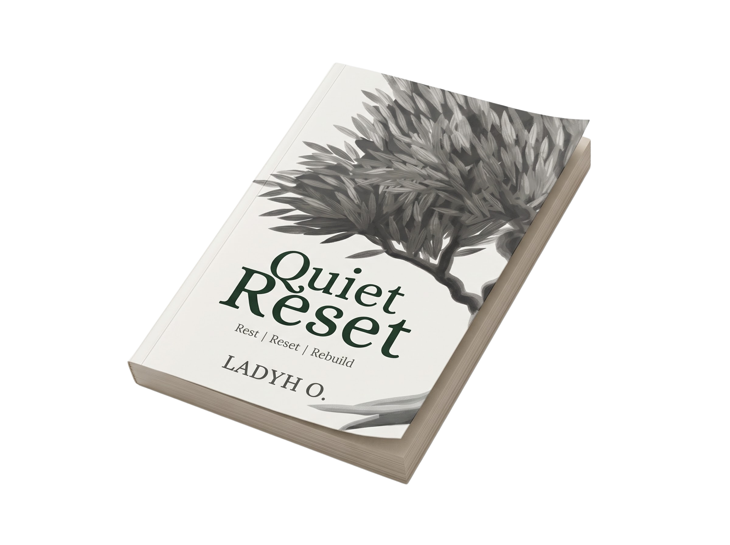 Quiet Reset: Rest, Reset, Rebuild by Ladyh Joy O.